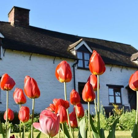 Glencoed B&B Wrexham Bagian luar foto
