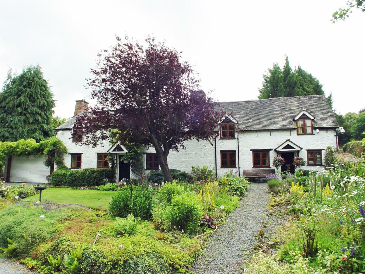 Glencoed B&B Wrexham Bagian luar foto