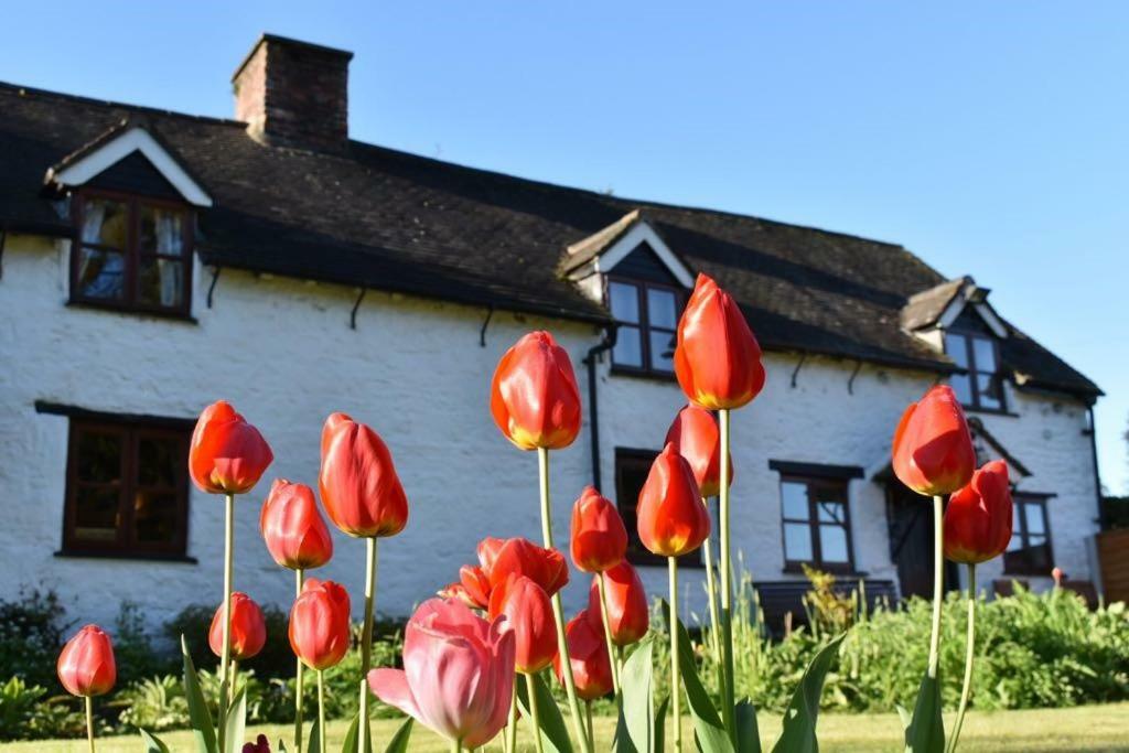 Glencoed B&B Wrexham Bagian luar foto